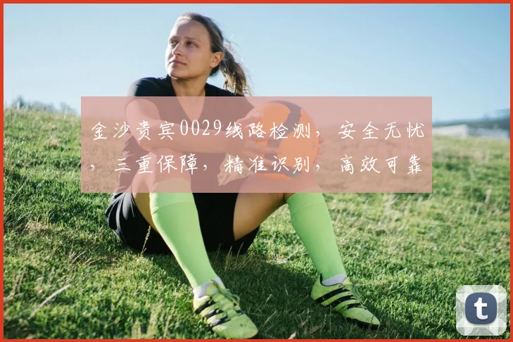 金沙贵宾0029线路检测，安全无忧，三重保障，精准识别，高效可靠，让您畅享娱乐