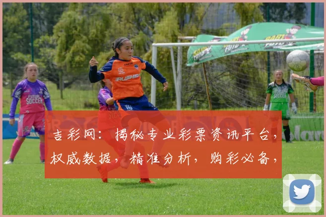 吉彩网：揭秘专业彩票资讯平台，权威数据，精准分析，购彩必备，助力您赢取大奖